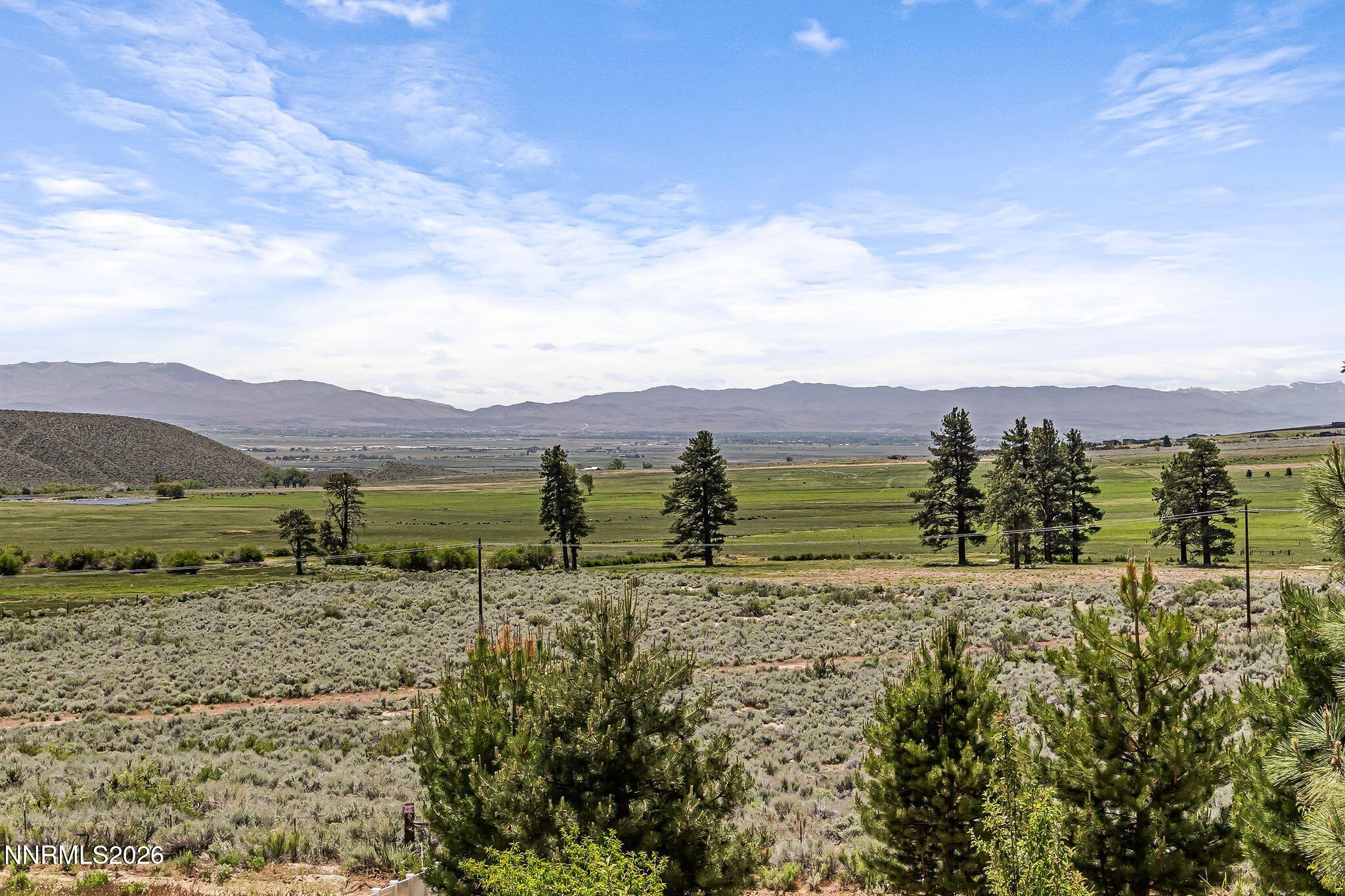 250 Jacks Valley Ranch Property Photo 38
