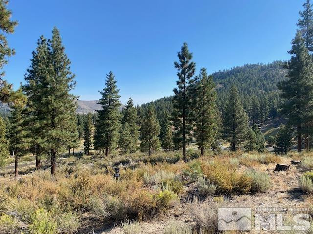 3253 Summit Camp Way Property Photo 1