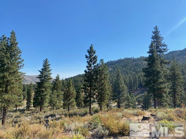 3253 Summit Camp Way Property Photo 2