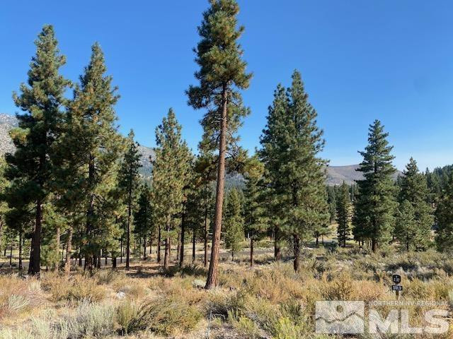3253 Summit Camp Way Property Photo 3