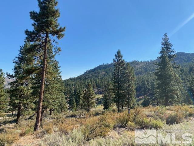 3253 Summit Camp Way Property Photo 4