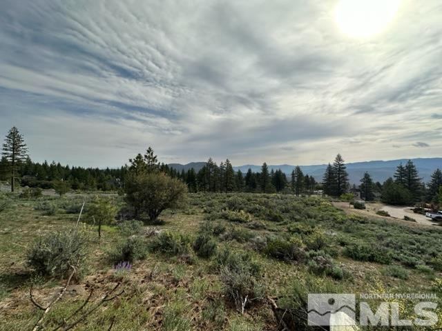 400 Mt Mahogany Court Property Photo 3