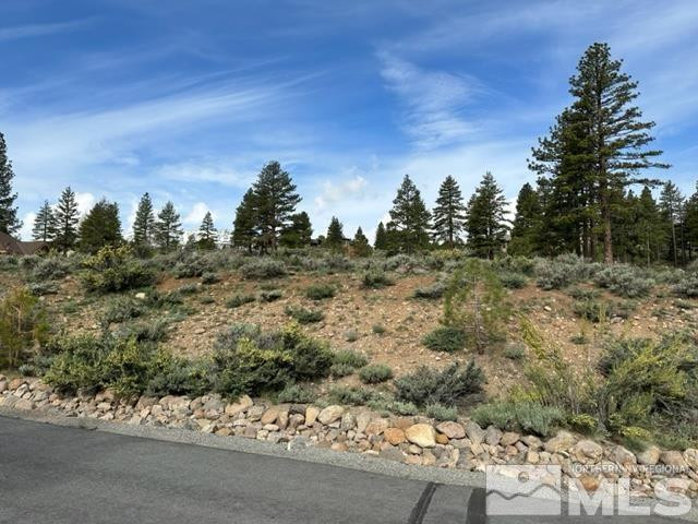 400 Mt Mahogany Court Property Photo 4