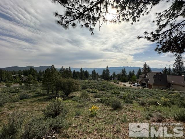 400 Mt Mahogany Court Property Photo 6