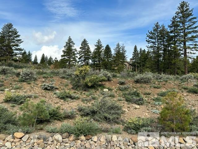 400 Mt Mahogany Court Property Photo 10