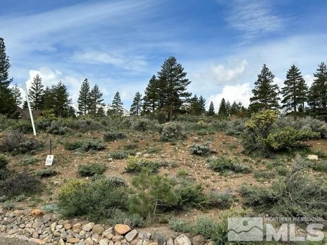 400 Mt Mahogany Court Property Photo 11