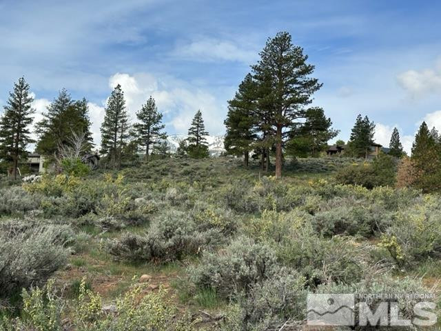 400 Mt Mahogany Court Property Photo 12
