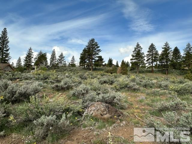 400 Mt Mahogany Court Property Photo 13