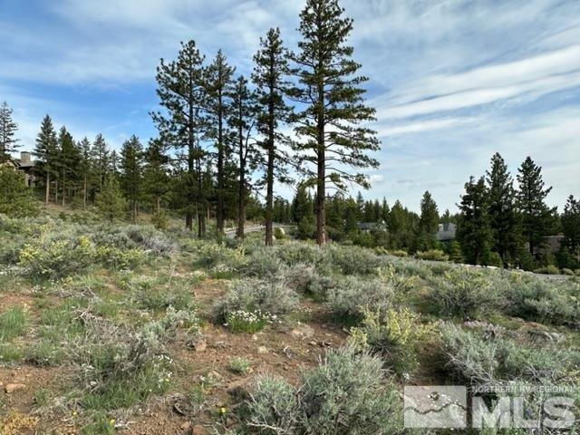 400 Mt Mahogany Court Property Photo 14