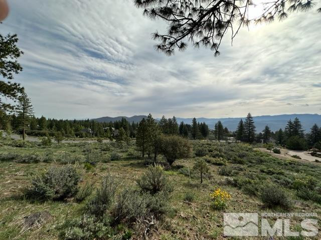 400 Mt Mahogany Court Property Photo 17