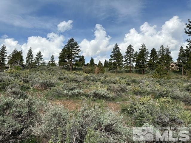 400 Mt Mahogany Court Property Photo 18