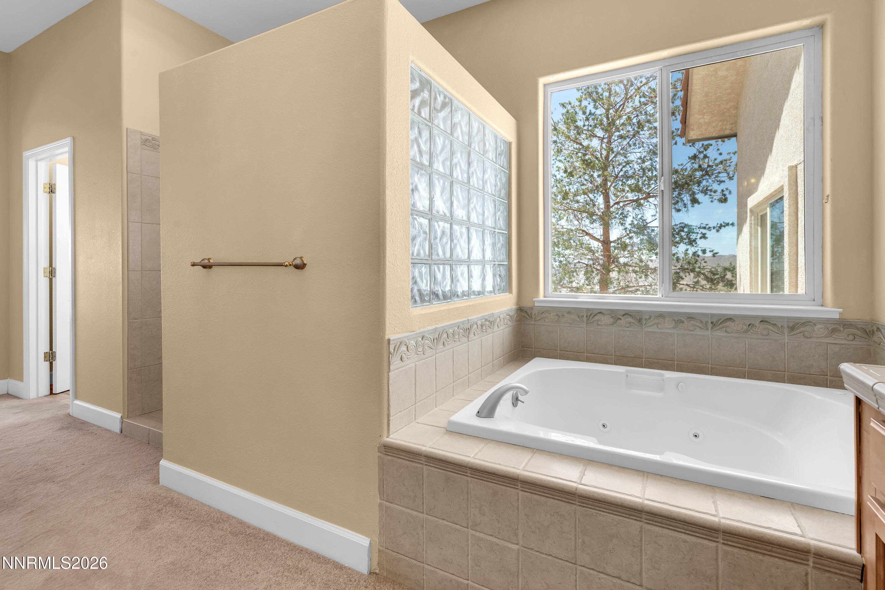 1255 Calle De La Plata Property Photo 29