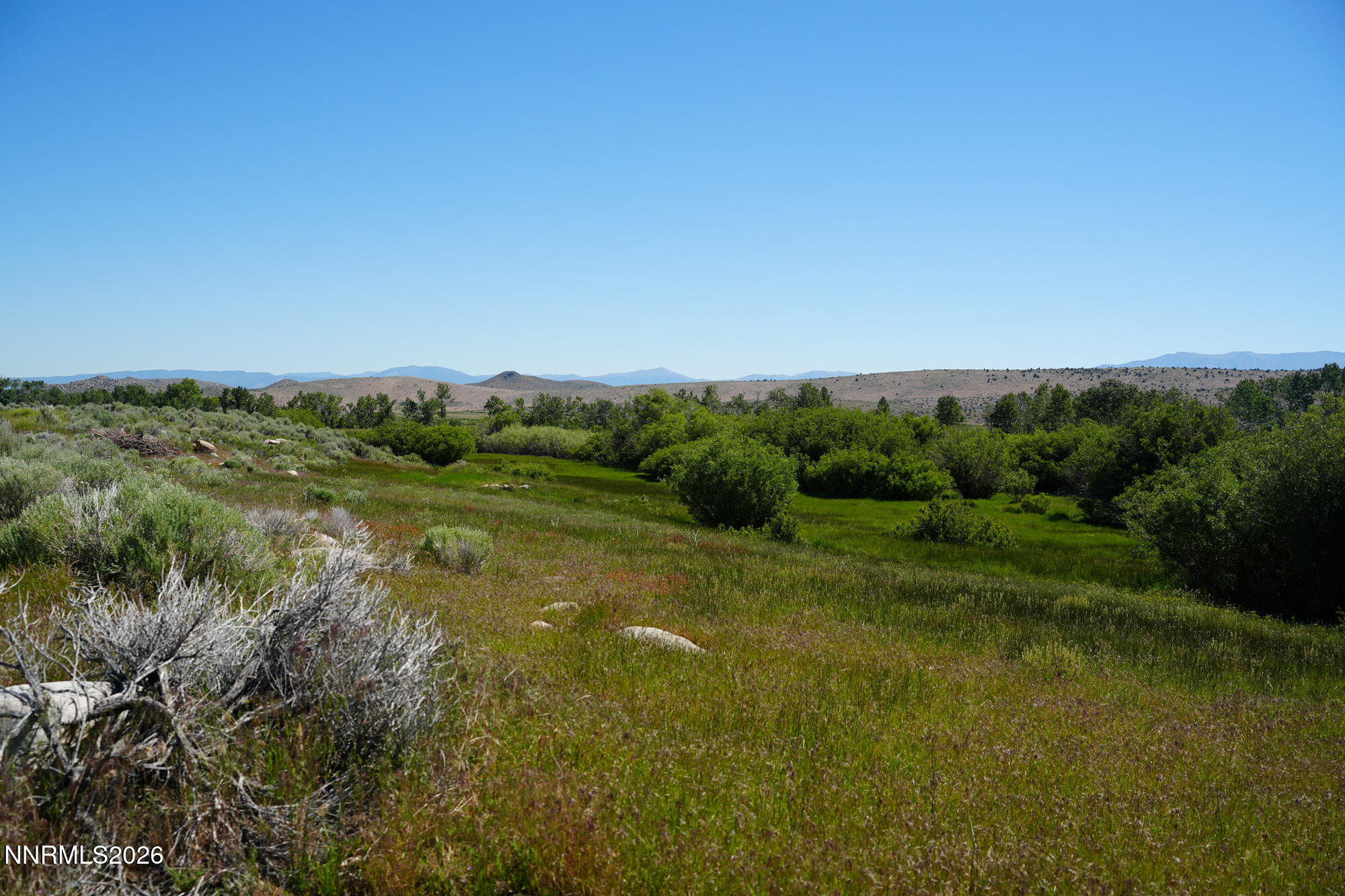 060 River Ranch Road Property Photo 8