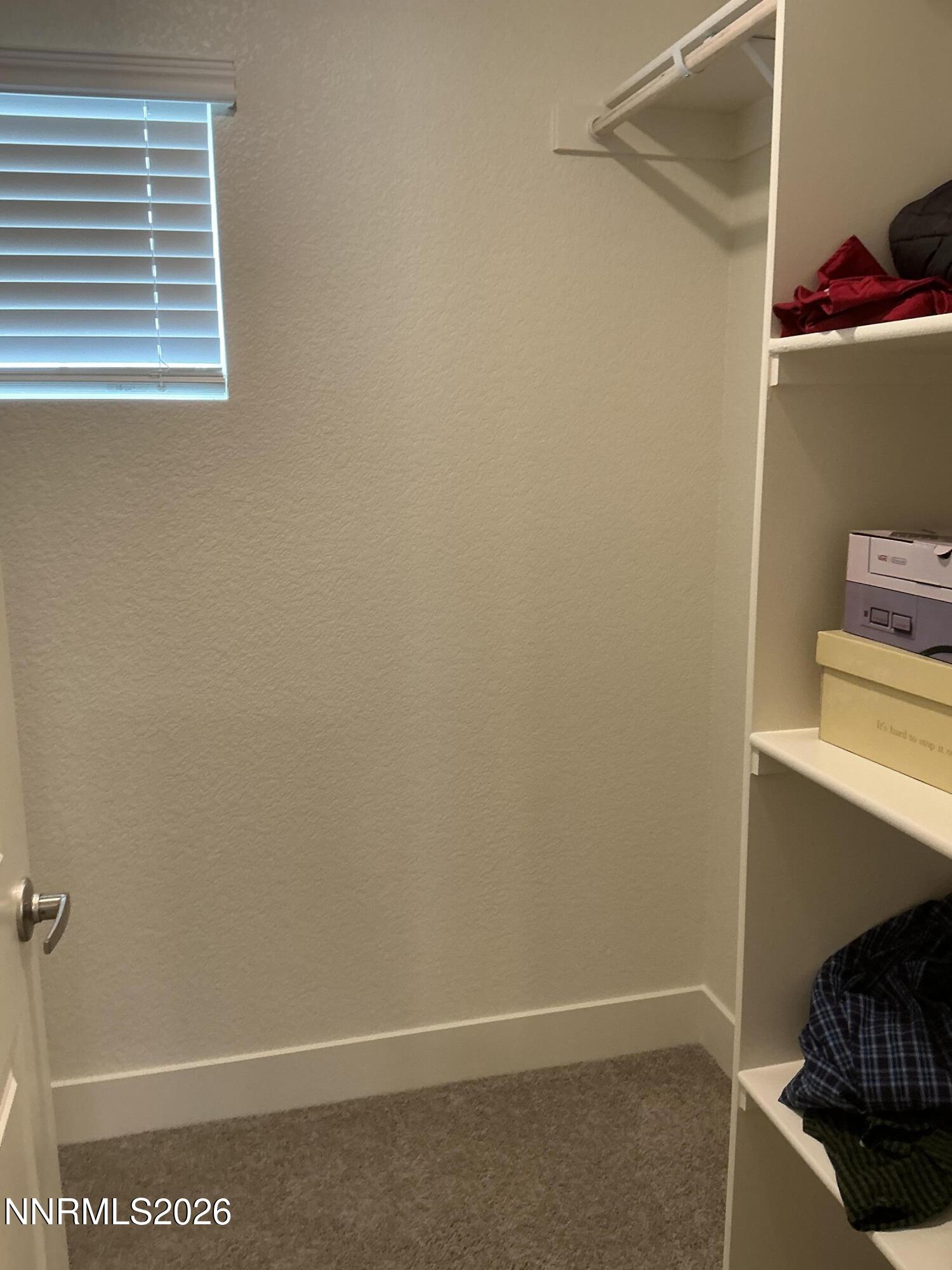 1820 Amazonite Drive Property Photo 13