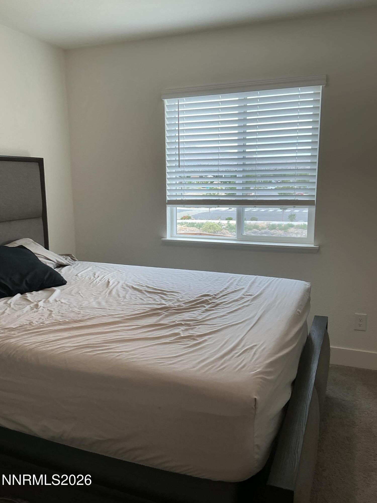 1820 Amazonite Drive Property Photo 14