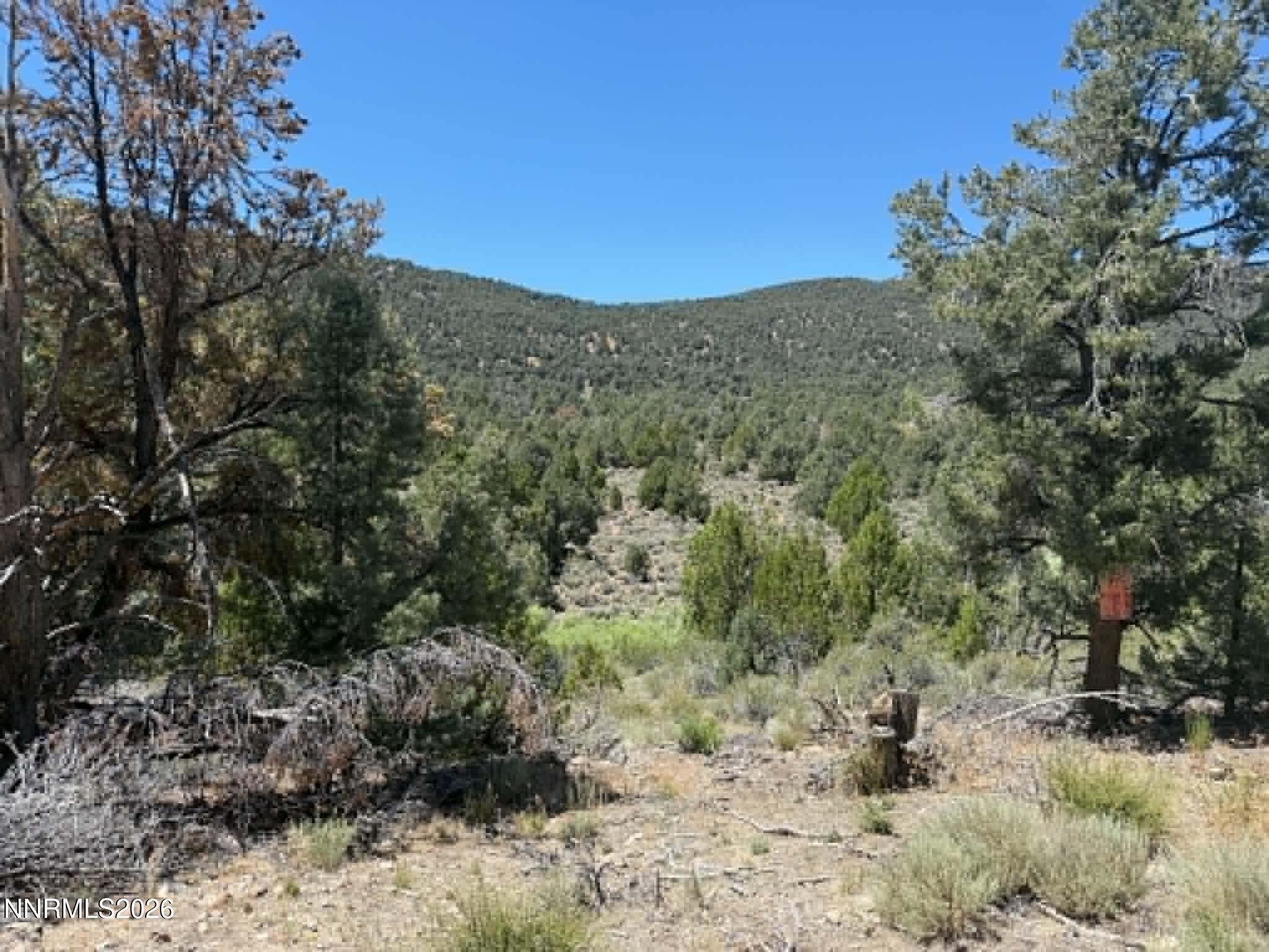 Tbd P14 76 Property Photo 18