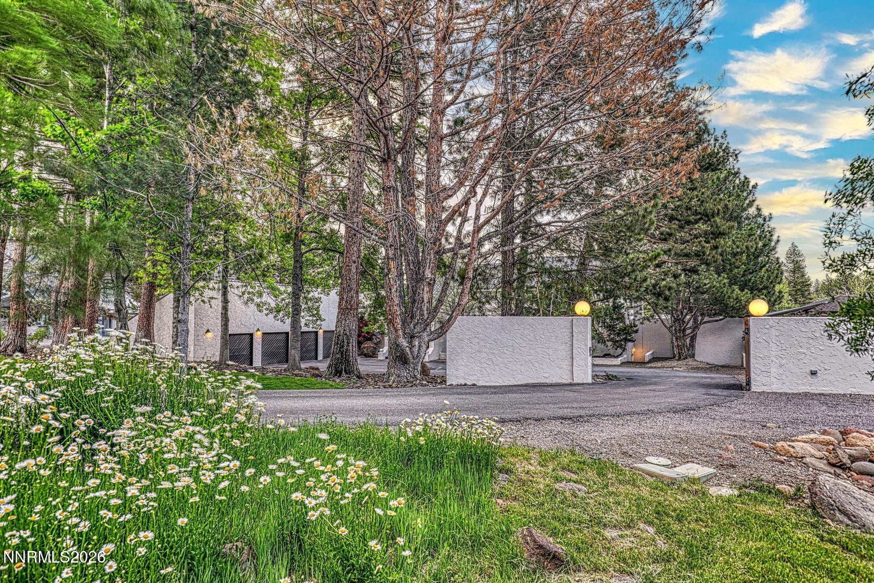 556 Dusty Lane Property Photo 4