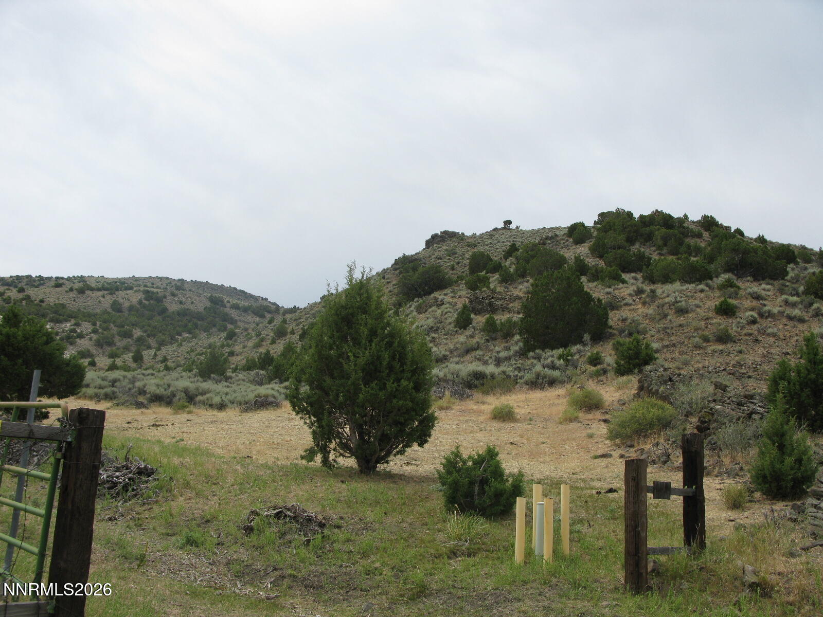 705 Pah Rah Springs Road Property Photo 3