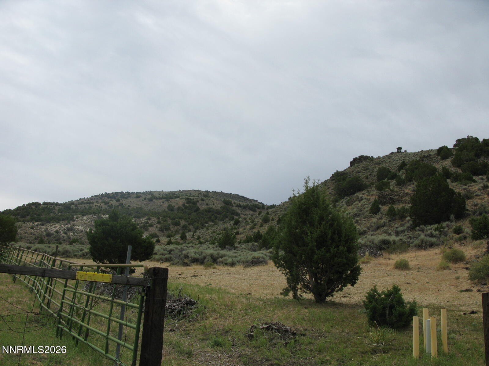 705 Pah Rah Springs Road Property Photo 4