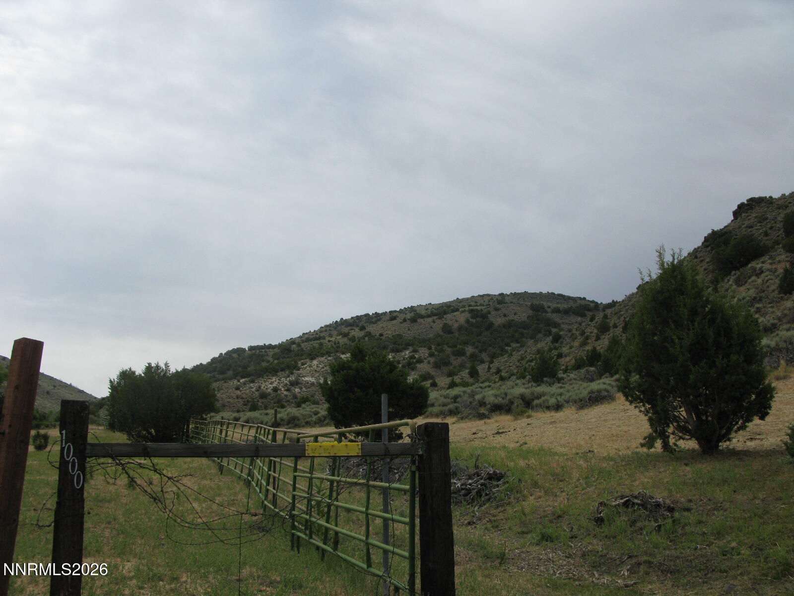 705 Pah Rah Springs Road Property Photo 5