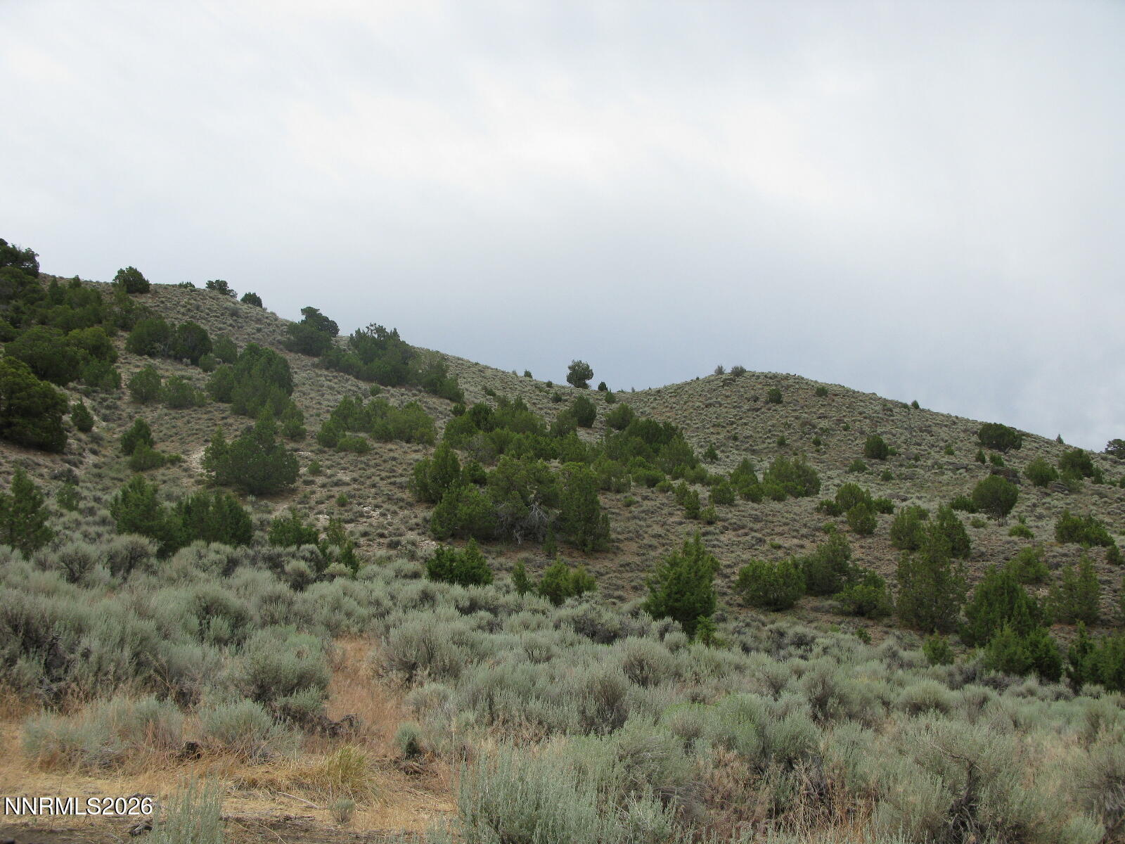 705 Pah Rah Springs Road Property Photo 8