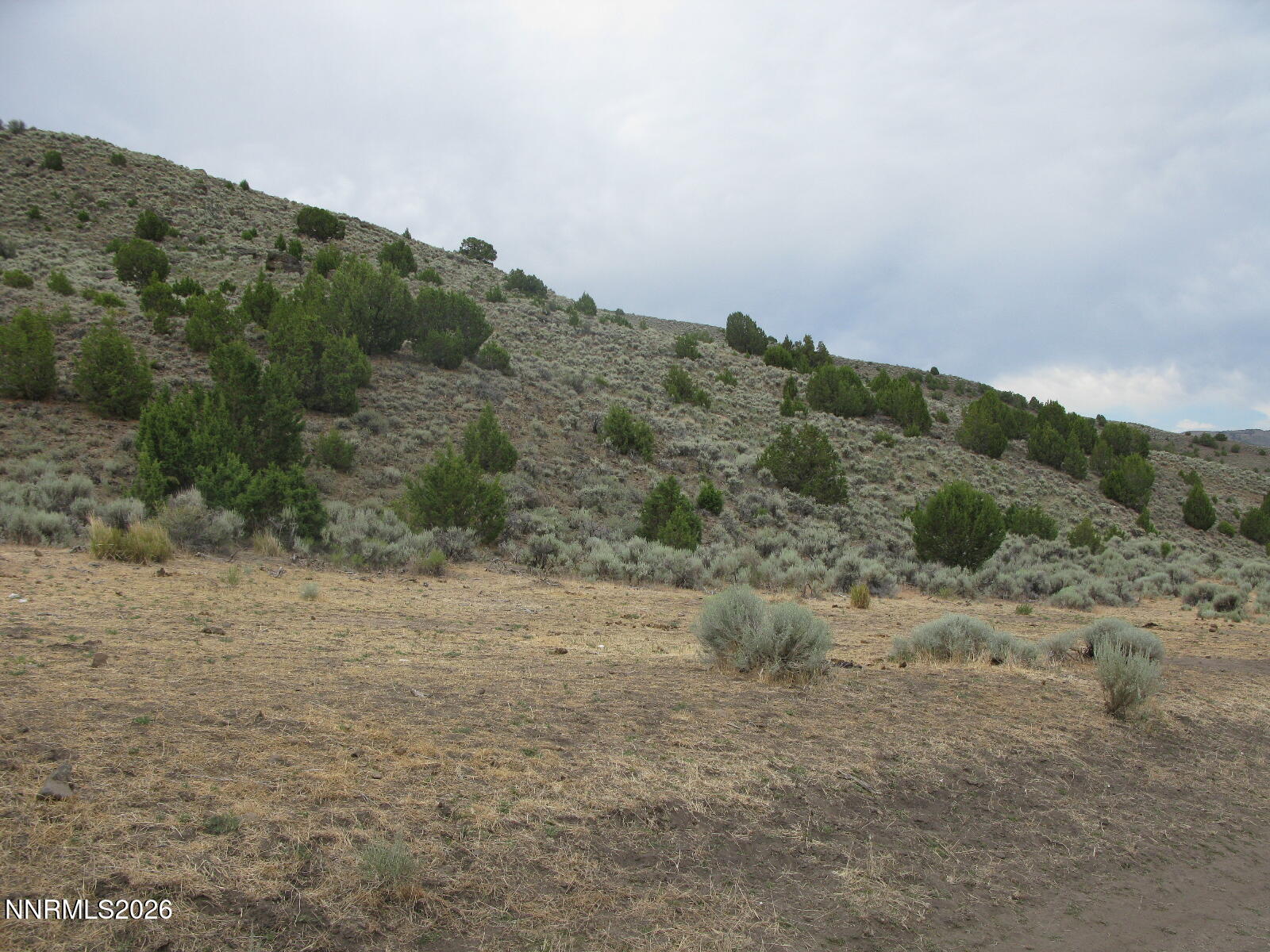 705 Pah Rah Springs Road Property Photo 13