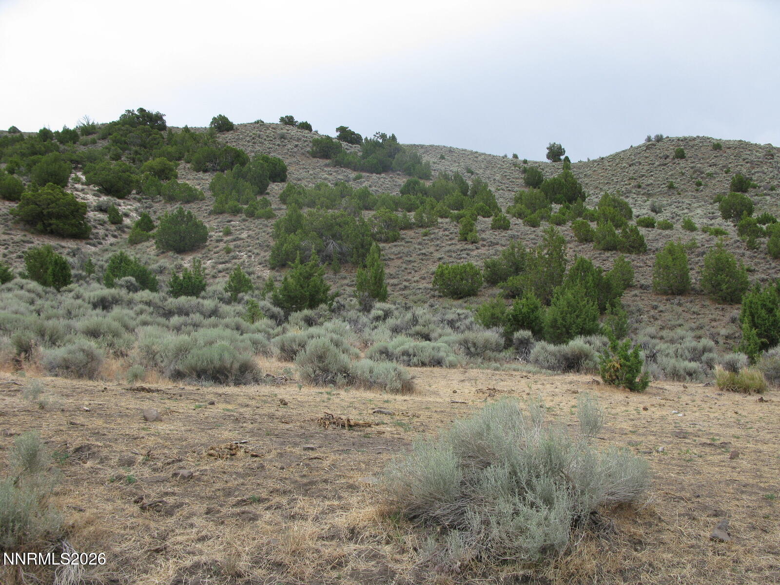 705 Pah Rah Springs Road Property Photo 14