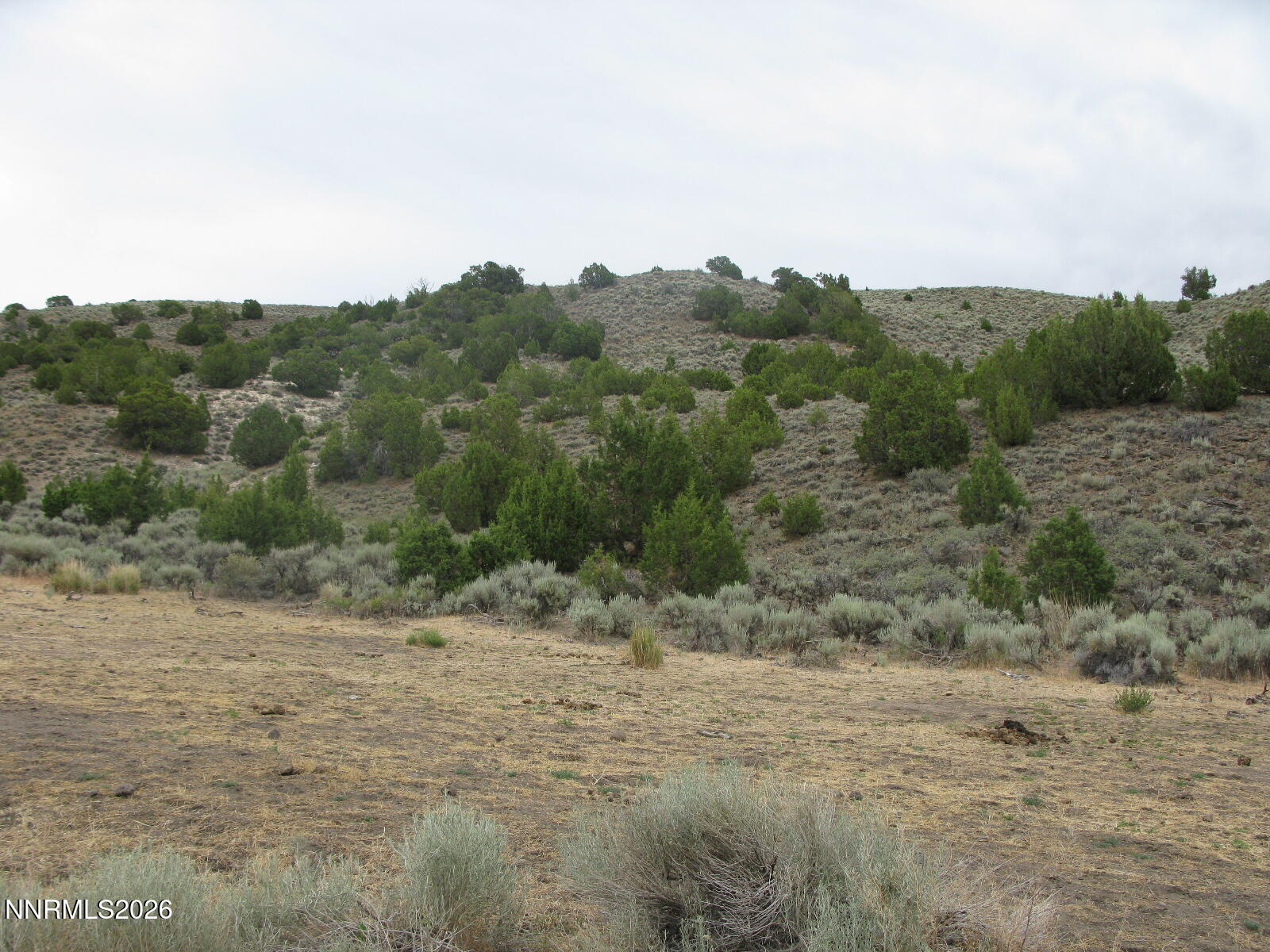 705 Pah Rah Springs Road Property Photo 17