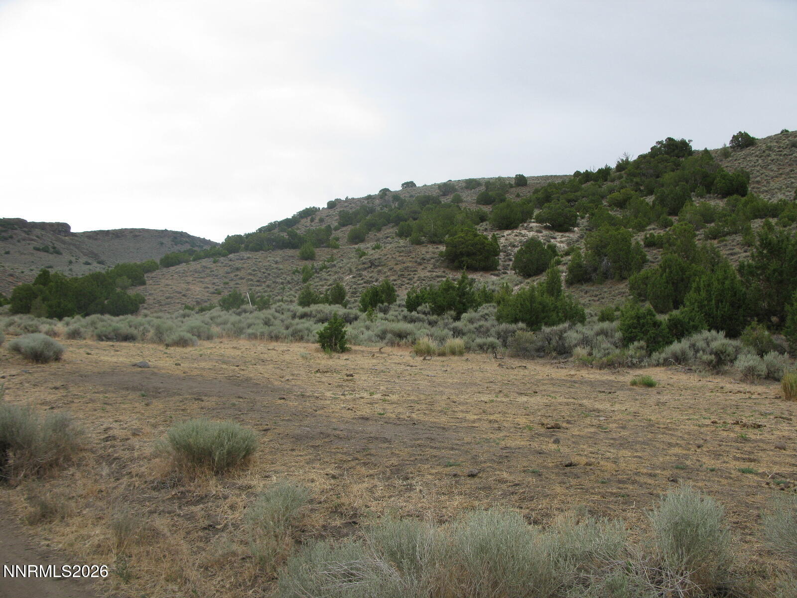 705 Pah Rah Springs Road Property Photo 18