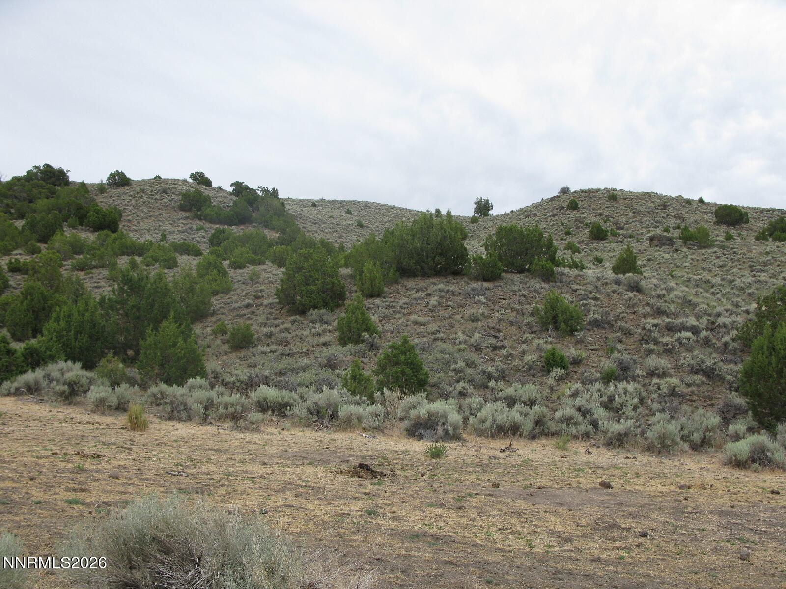 705 Pah Rah Springs Road Property Photo 19