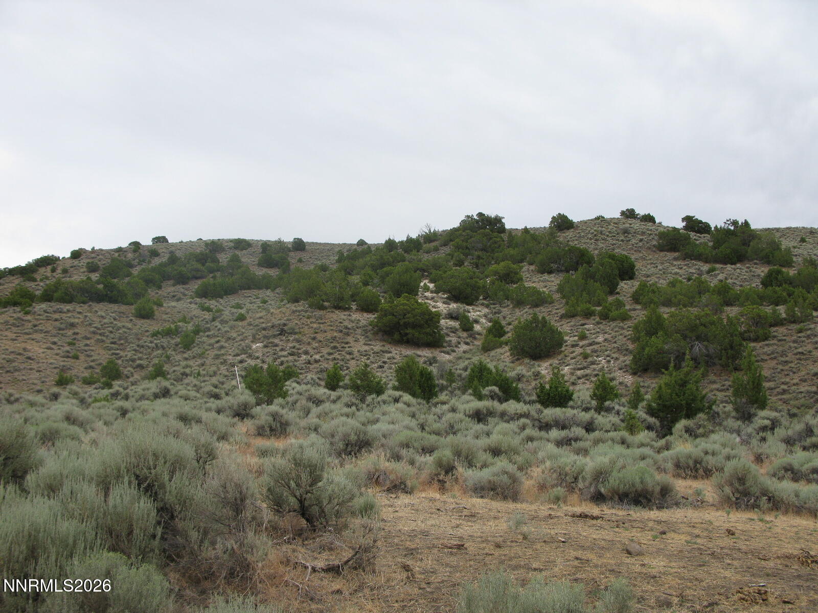 705 Pah Rah Springs Road Property Photo 20