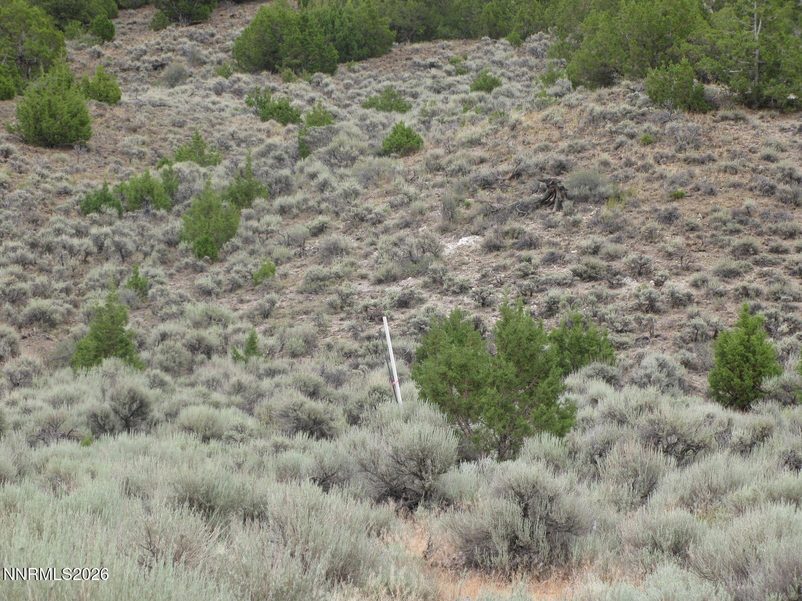 705 Pah Rah Springs Road Property Photo 21