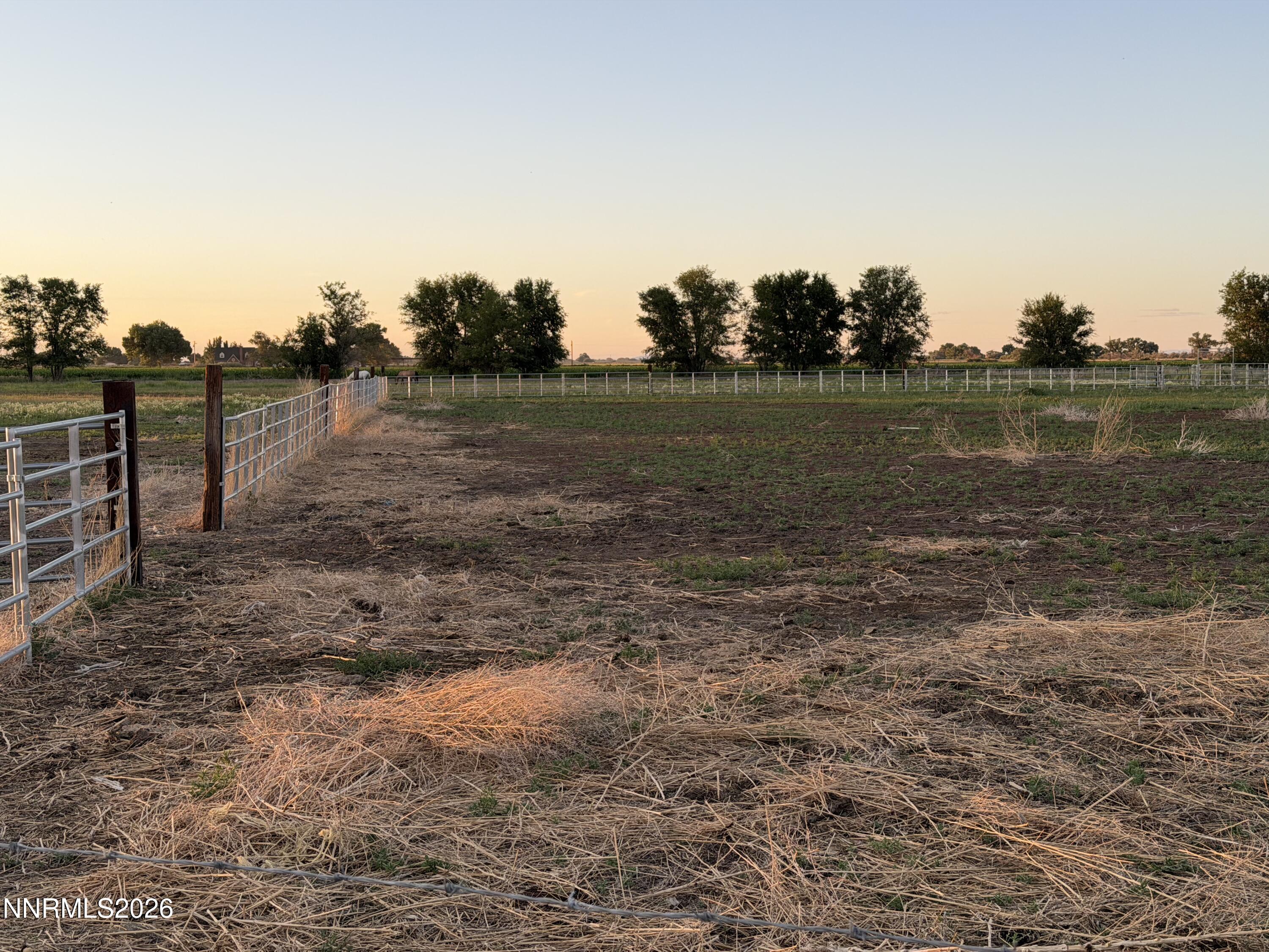 2025 Cushman Road Property Photo 20