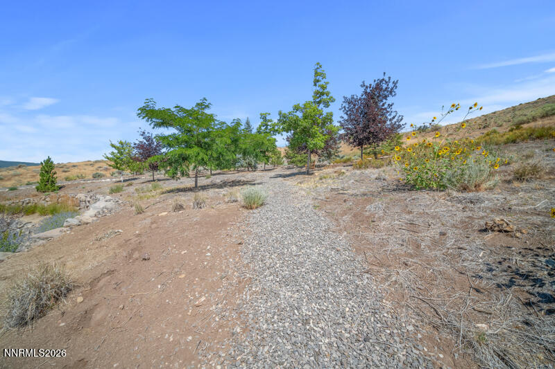8631 Eagle Chase Trail Property Photo 53