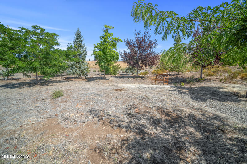 8631 Eagle Chase Trail Property Photo 55