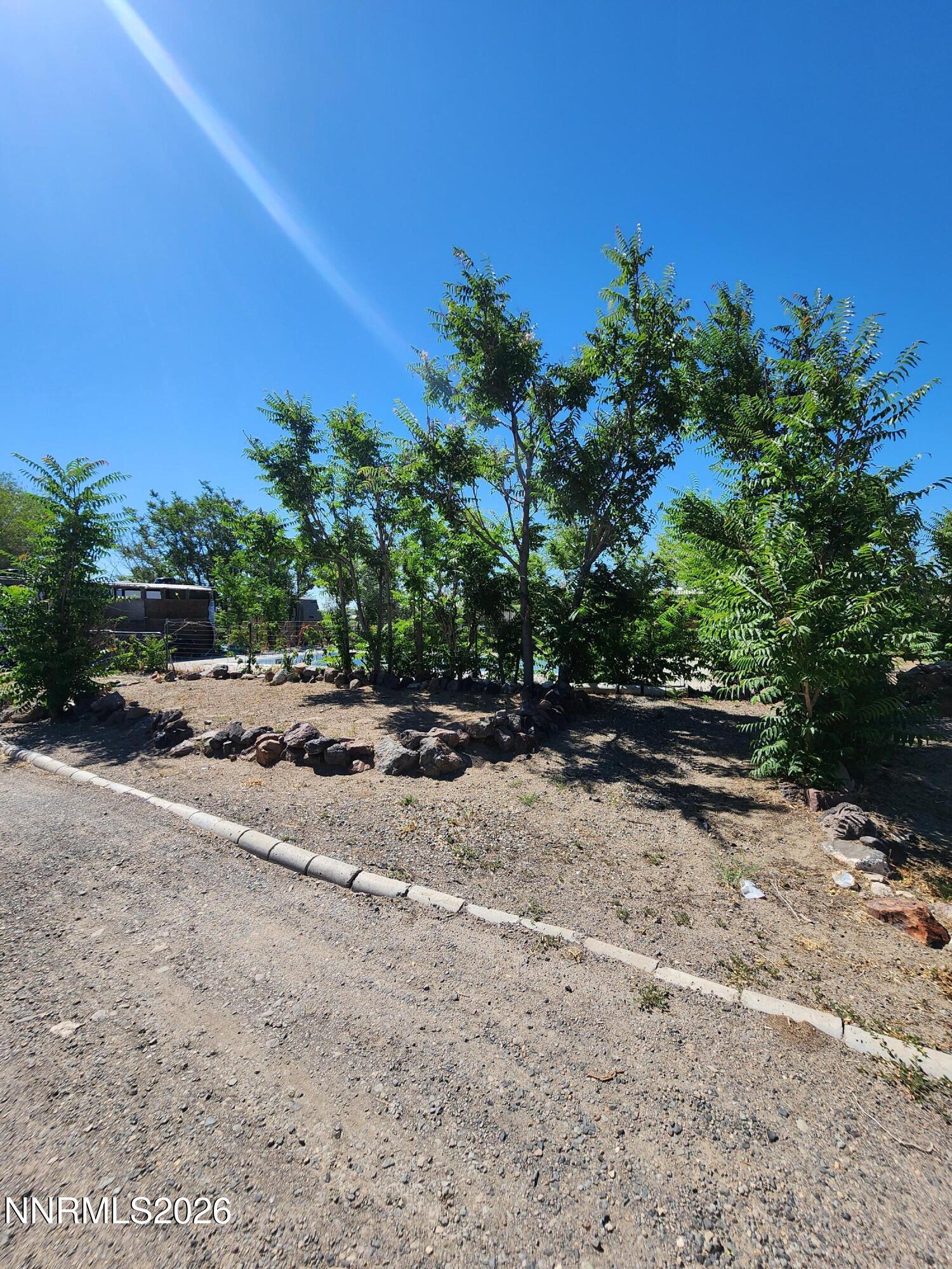 3660 Cypress Street Property Photo 6