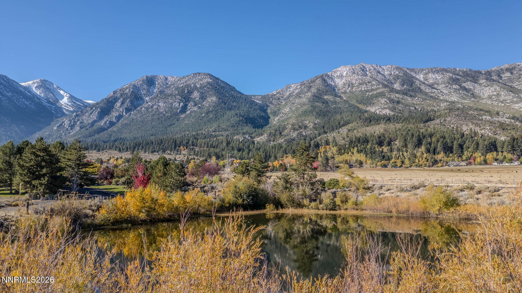 285 Sierra Country Circle Property Photo 4
