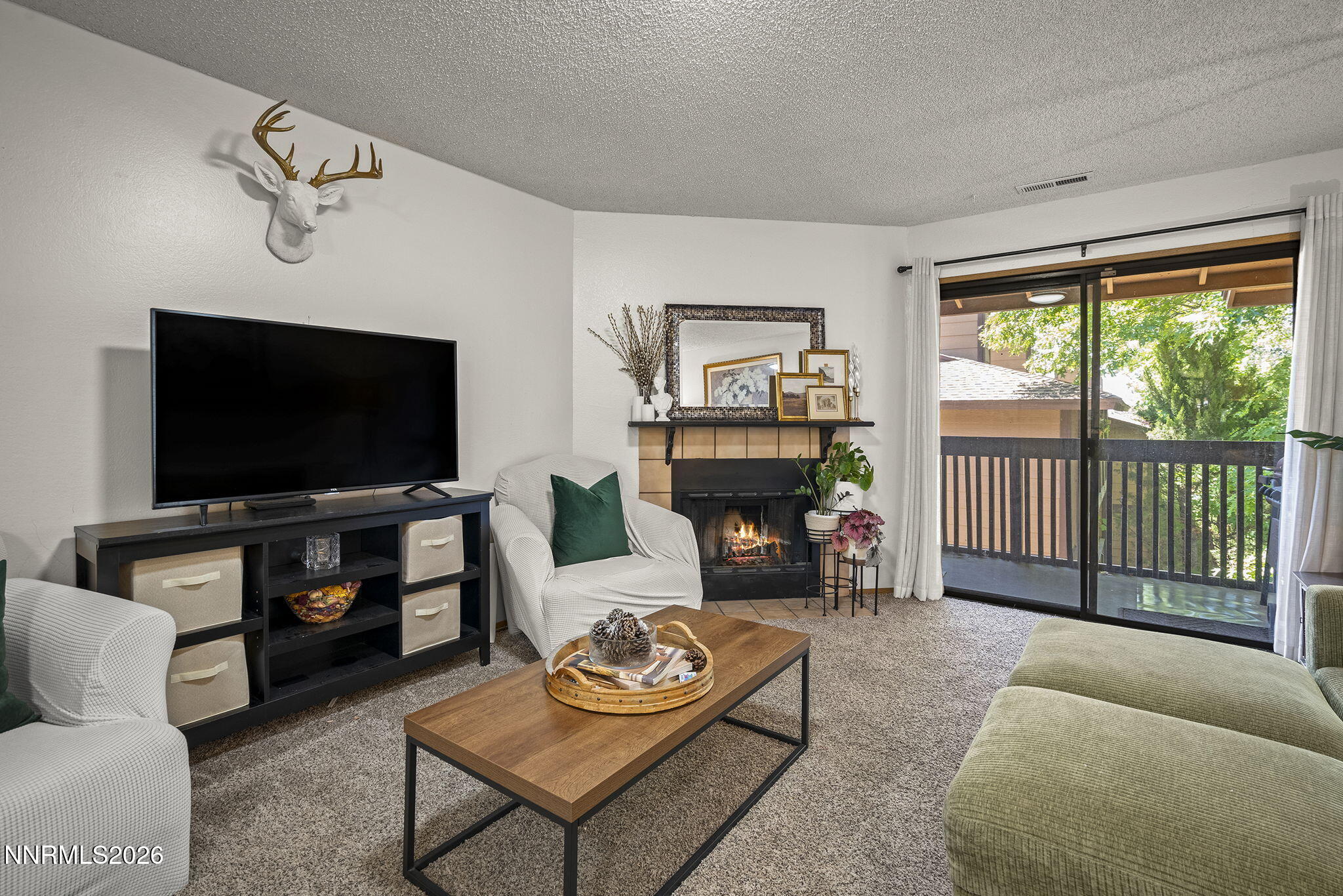 1466 Selmi Drive Property Photo 10