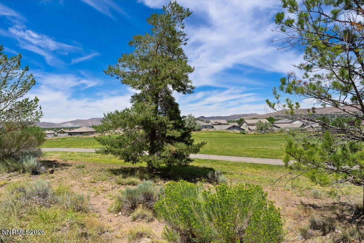 6367 Rey Del Sierra Drive Property Photo 6