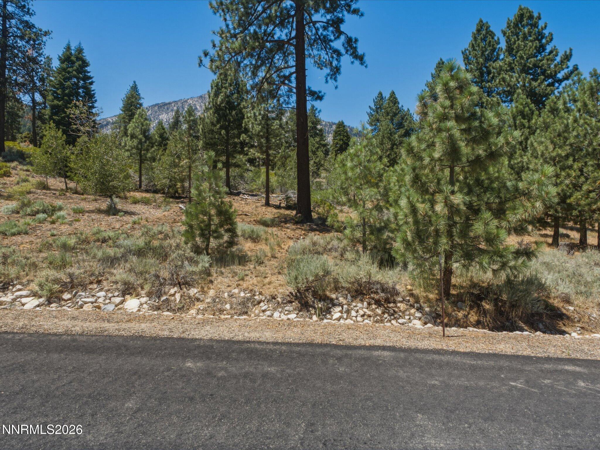 490 Nature's Edge Road Property Photo 6