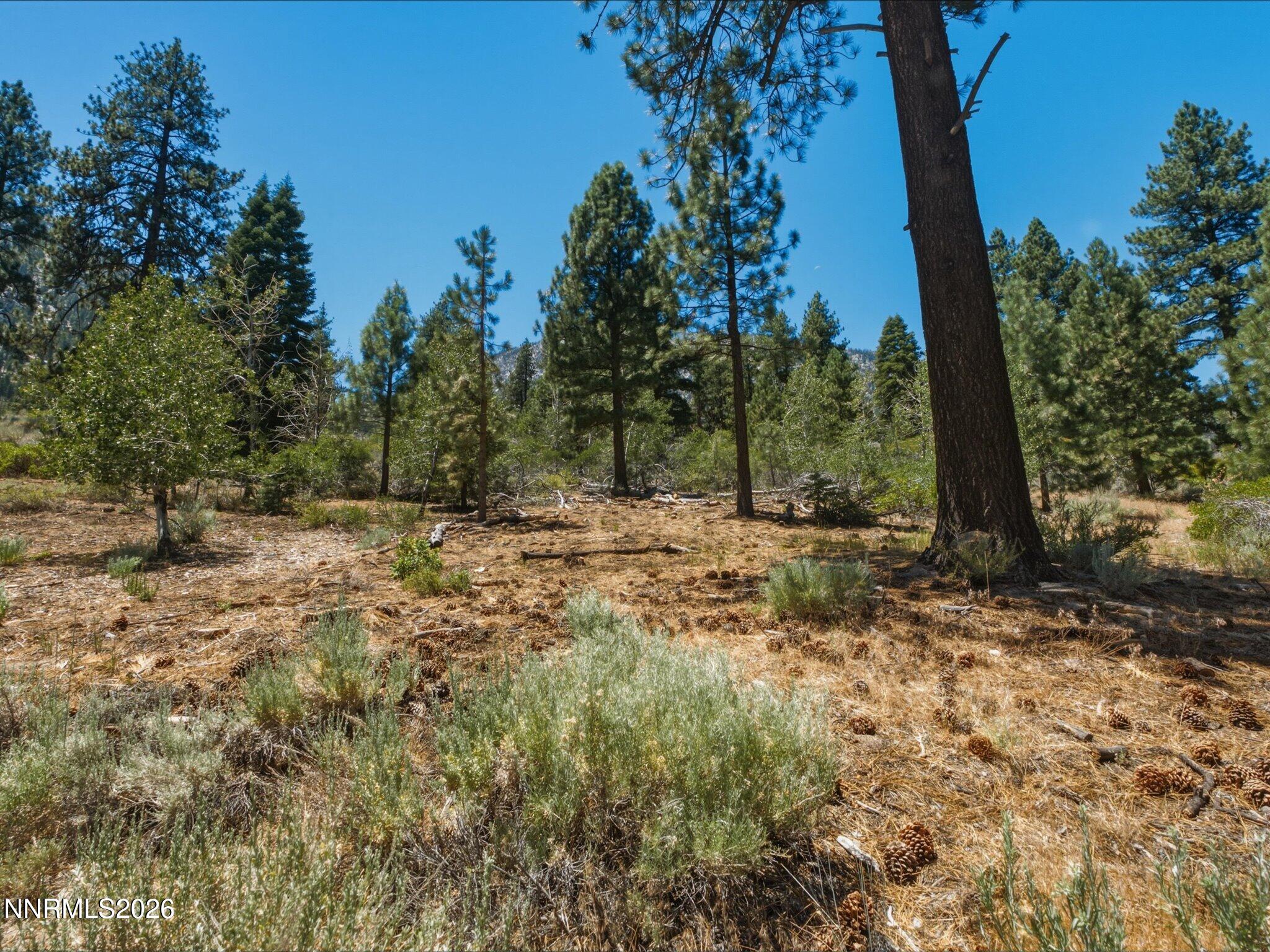 490 Nature's Edge Road Property Photo 8