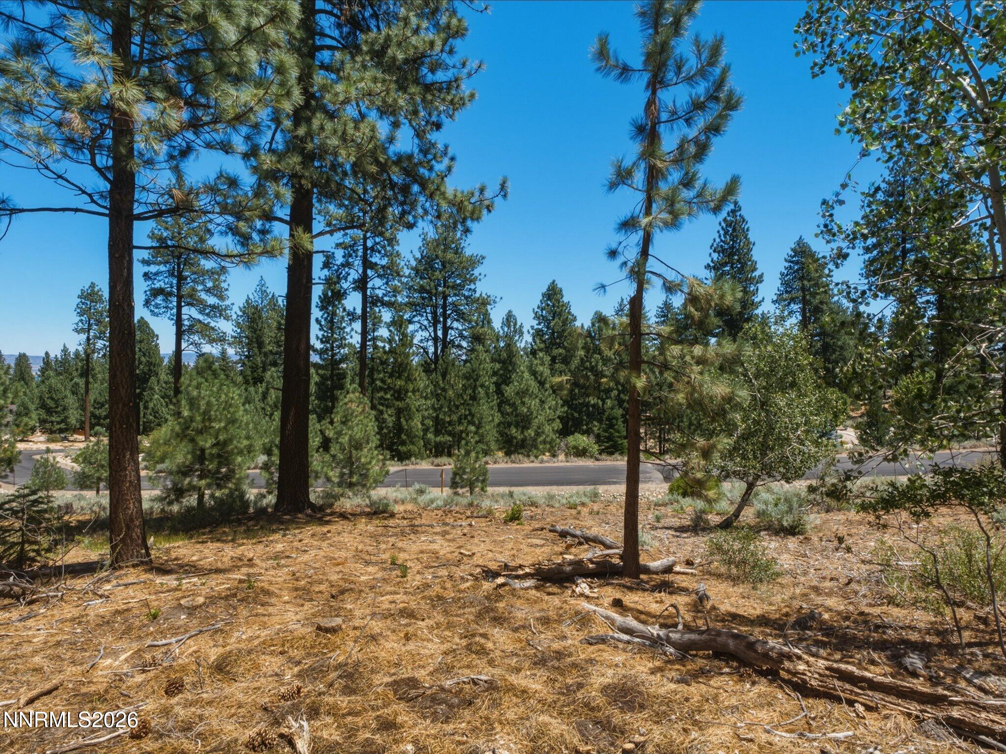 490 Nature's Edge Road Property Photo 9