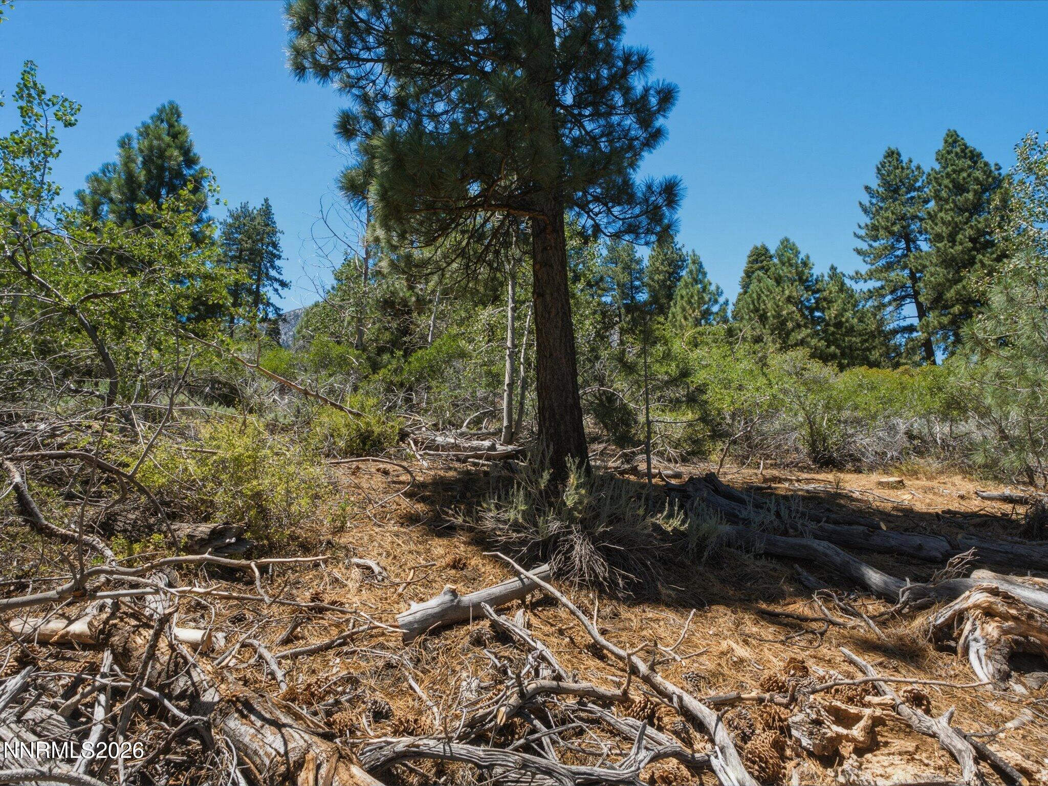 490 Nature's Edge Road Property Photo 11