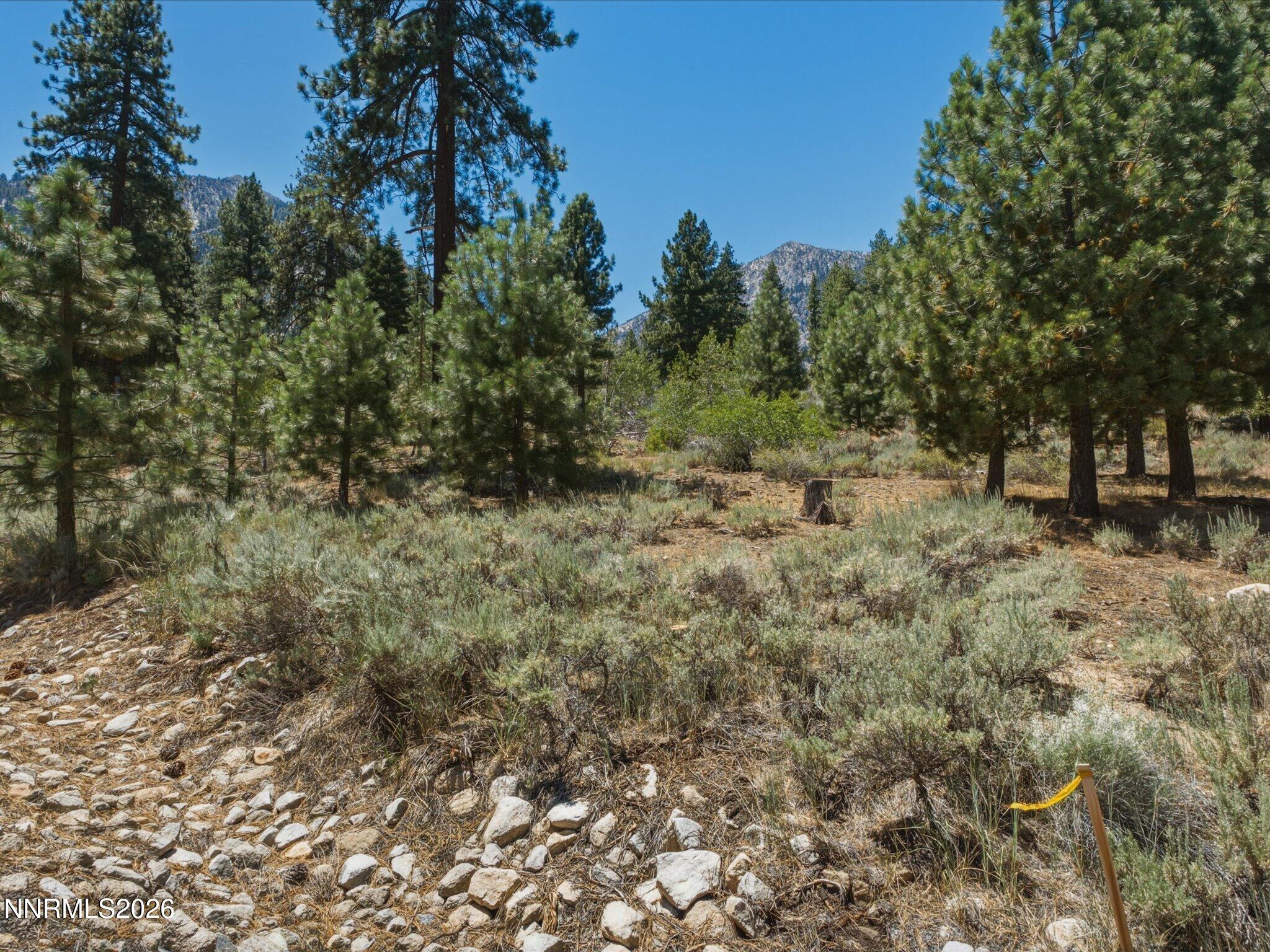 490 Nature's Edge Road Property Photo 13