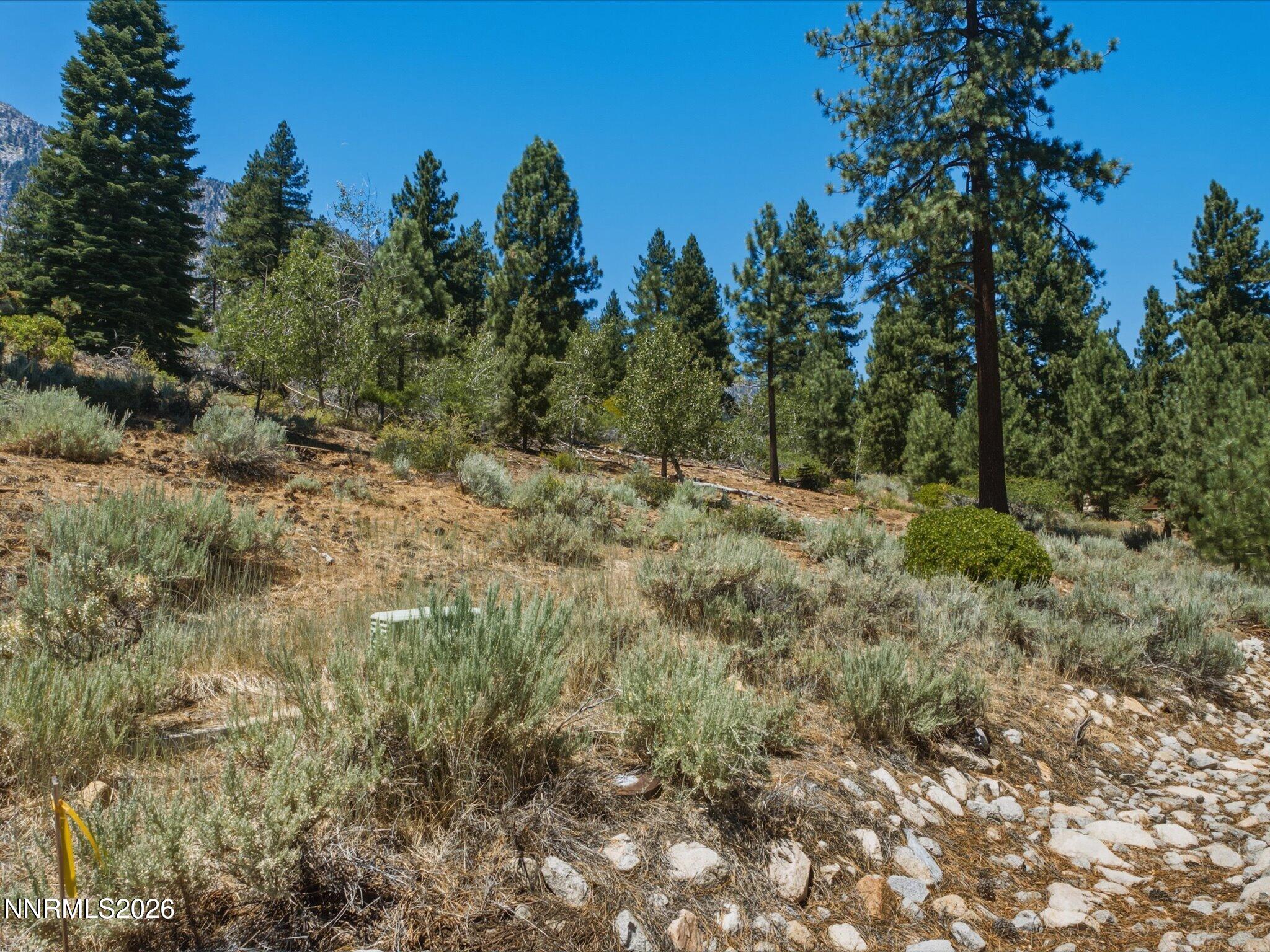 490 Nature's Edge Road Property Photo 14