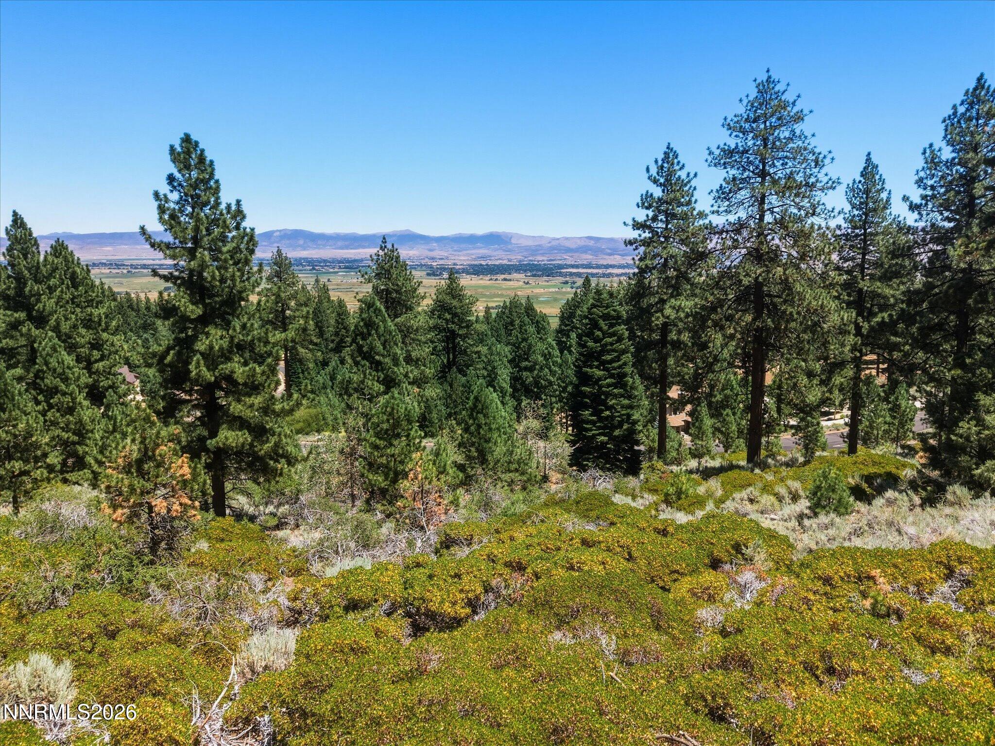 490 Nature's Edge Road Property Photo 15