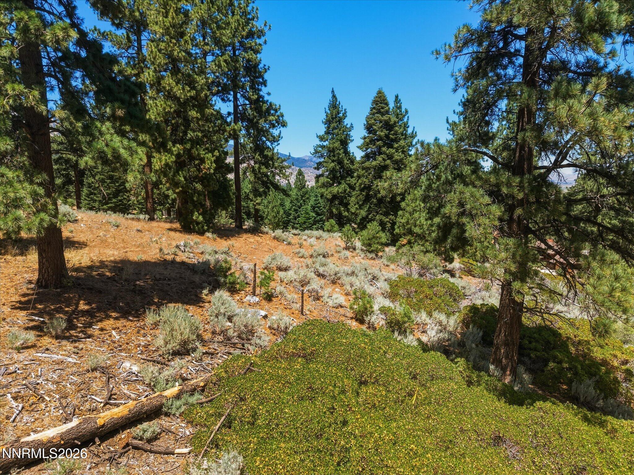 490 Nature's Edge Road Property Photo 16