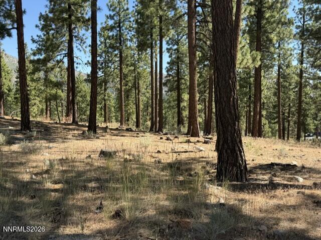 230 Redding Way Property Photo 8