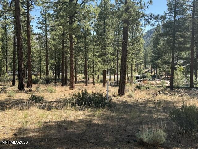 230 Redding Way Property Photo 9