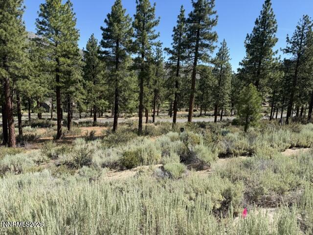 3265 Summit Camp Way C24/310 Property Photo 3